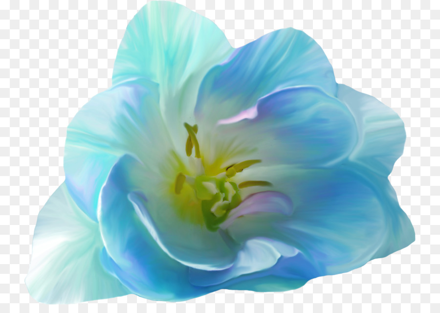 Flor，Azul PNG