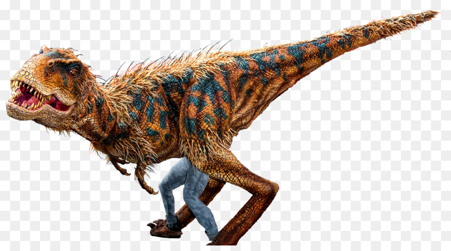 Tyrannosaurus，Velociraptor PNG