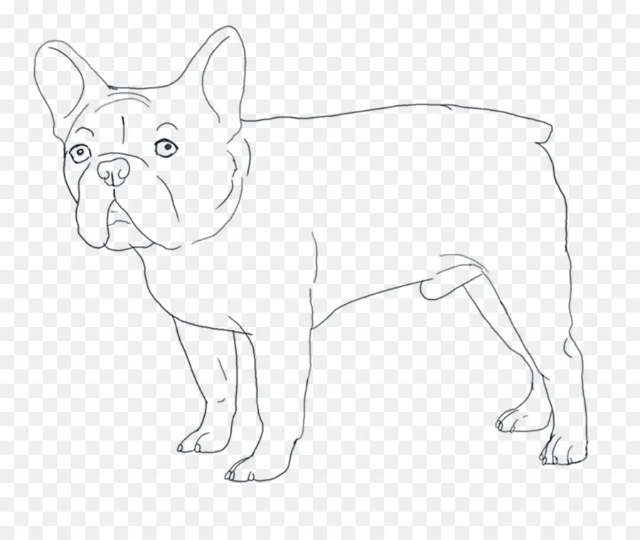 Bulldog，Bulldog Francés PNG