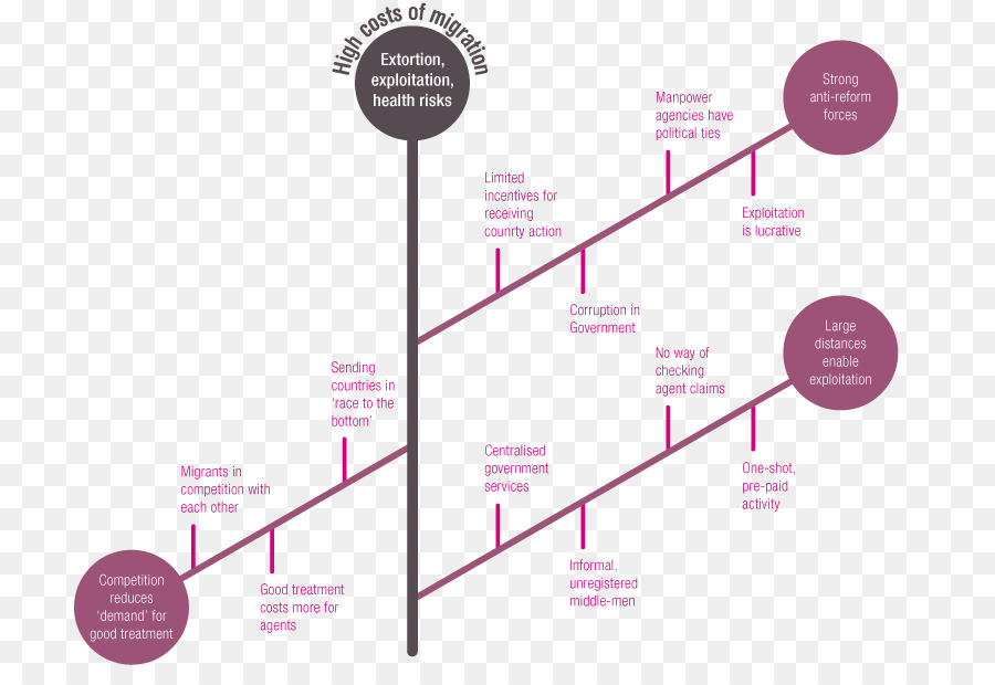 Diagrama De Ishikawa，Diagrama De PNG