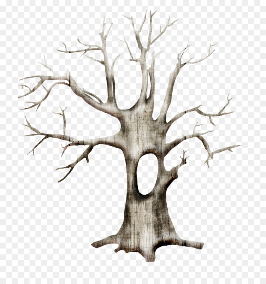 árbol，árbol De Navidad PNG