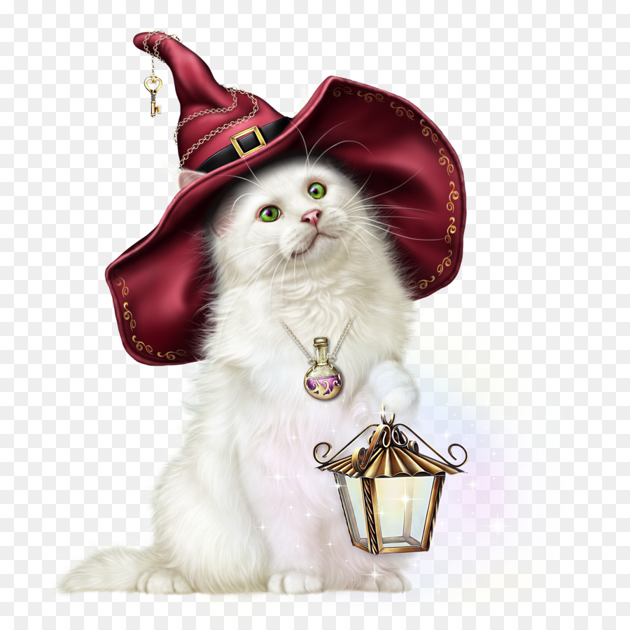 Gato Con Sombrero De Bruja，Víspera De Todos Los Santos PNG