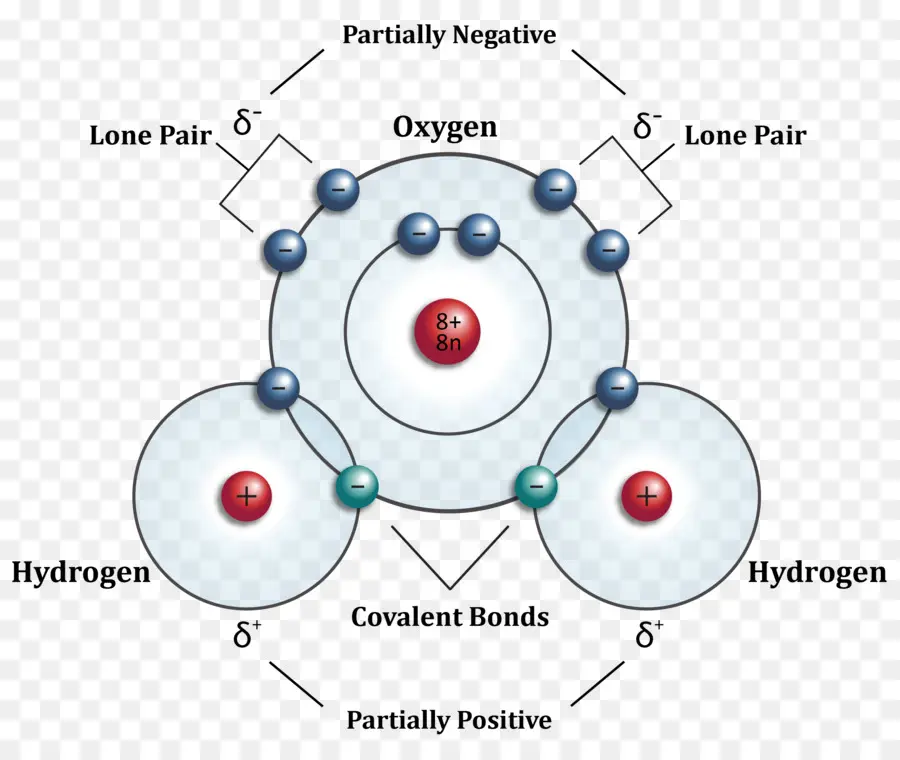 átomo，Agua PNG