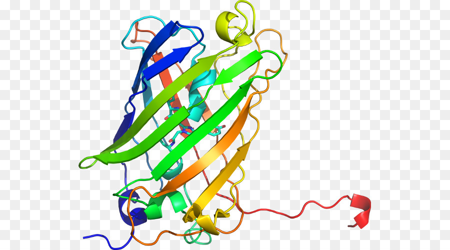 Estructura Proteica，Molécula PNG