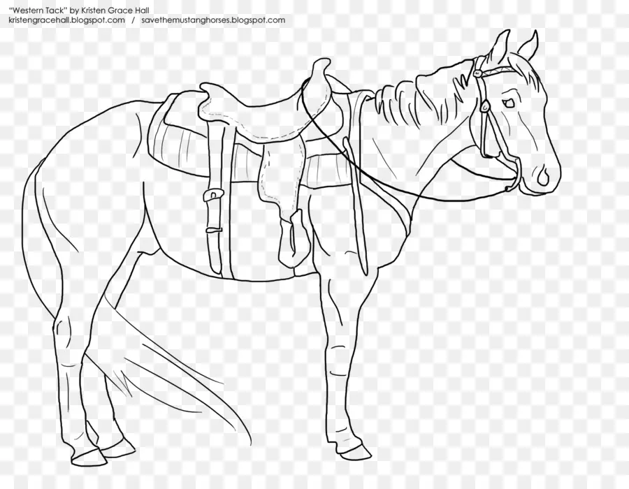 Mustang，Libro Para Colorear PNG