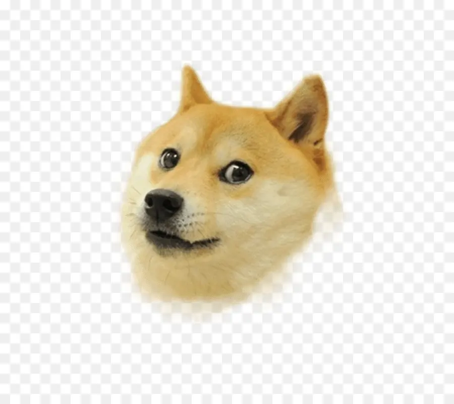 Doge，Dogecoin PNG