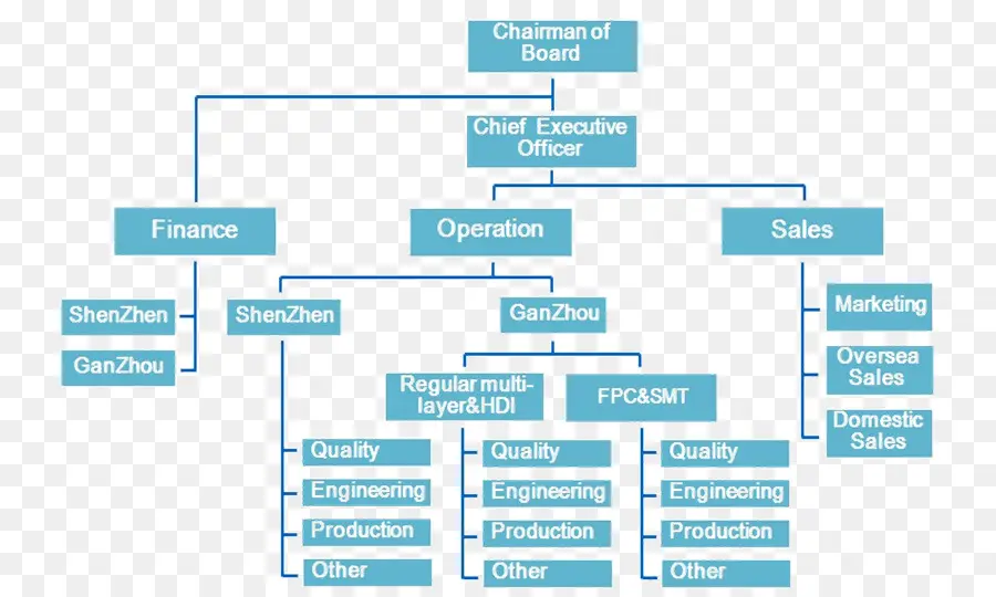 Organización，Estructura De La Organización PNG