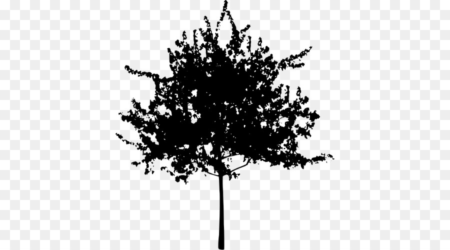 Árbol，Silueta PNG