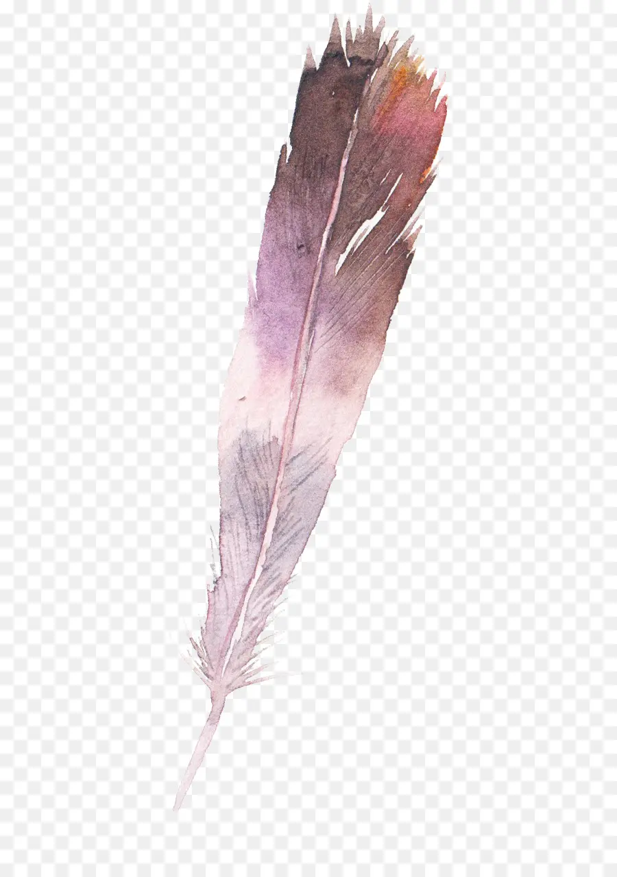 Pluma De Acuarela，Cuadro PNG