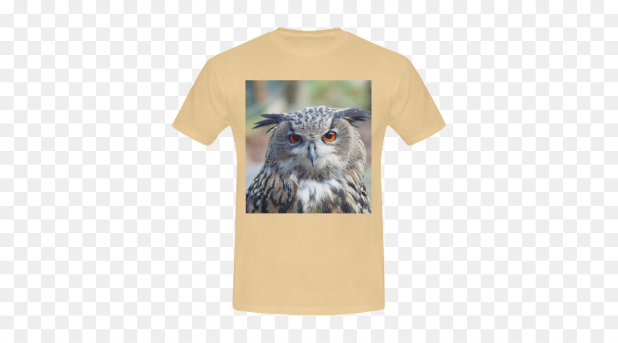 Búho，Camiseta PNG