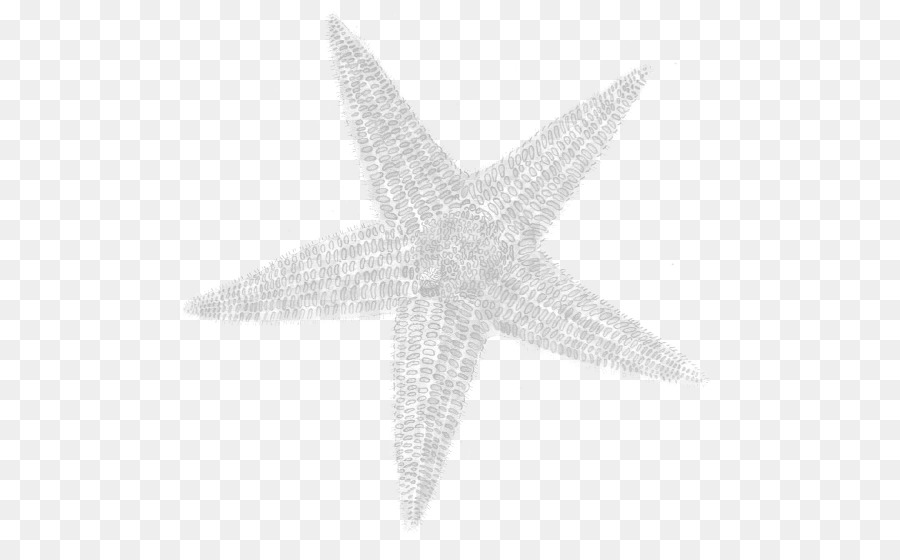 Estrella De Mar，Océano PNG