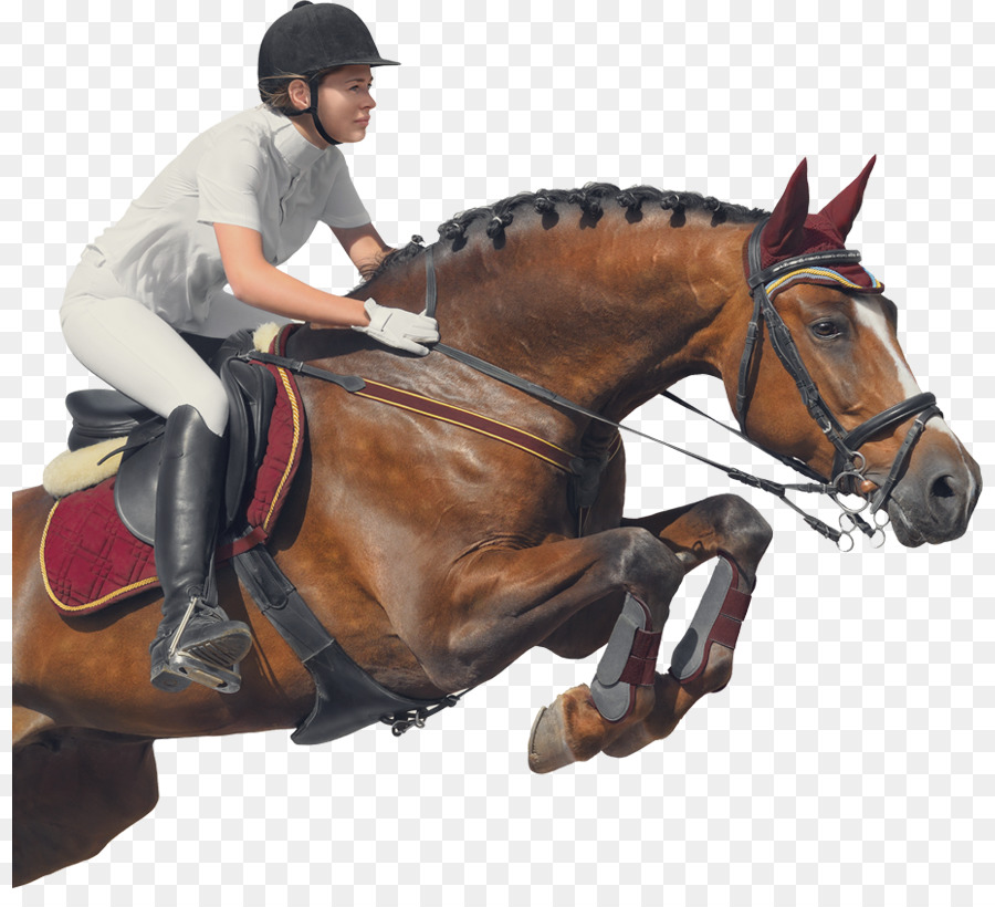 Jinete Del Caballo，Caballo PNG