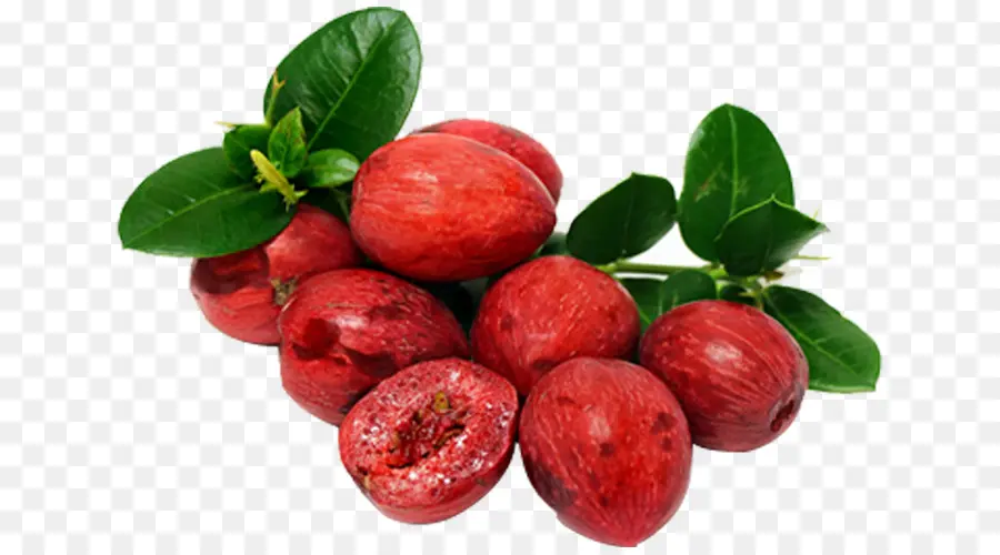 Frutos Rojos，Hojas PNG