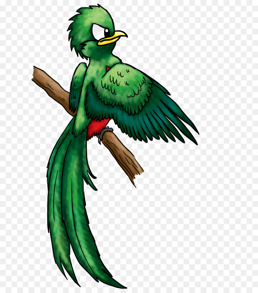 Guacamayo，Perico PNG