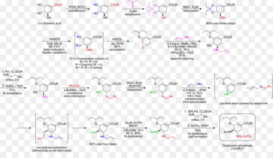 Oseltamivir，Oseltamivir Síntesis Total PNG