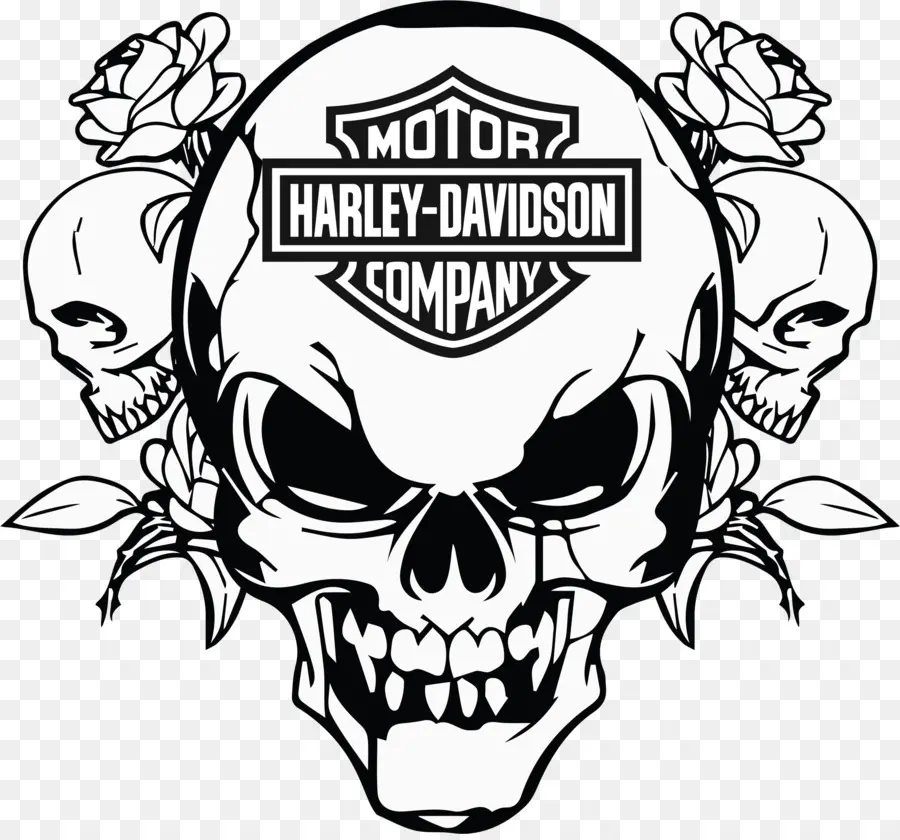 Harley Davidson，Motocicleta PNG