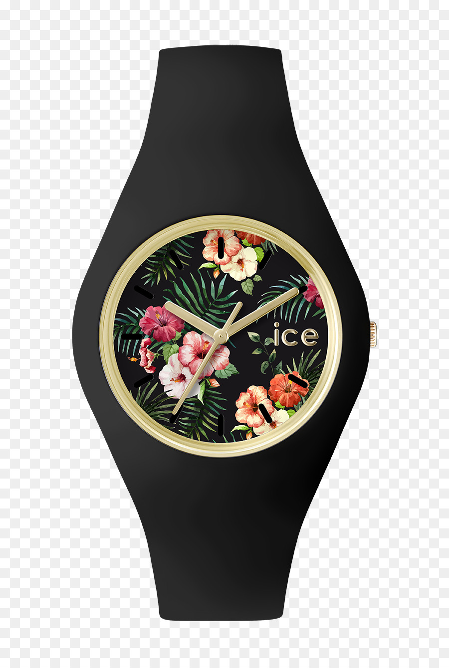 Ice Watch，Reloj PNG