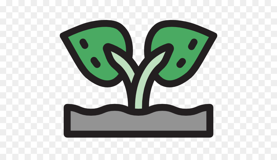 Planta，Hojas PNG