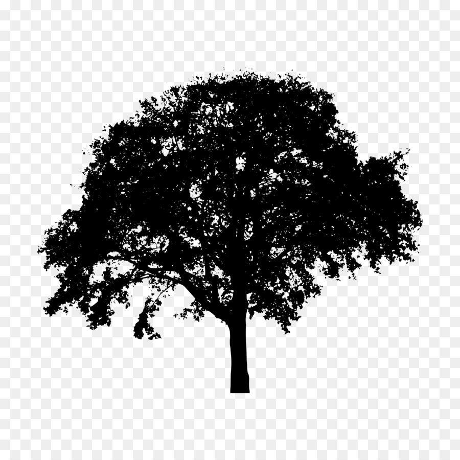 Árbol，Silueta PNG