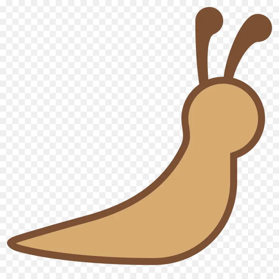 Gasterópodos，Slug PNG