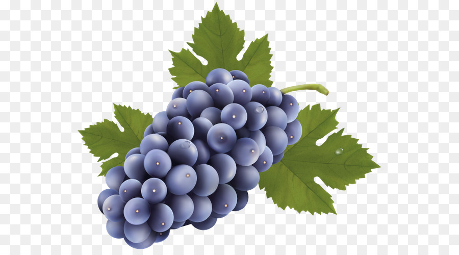 Uvas，Enredadera PNG