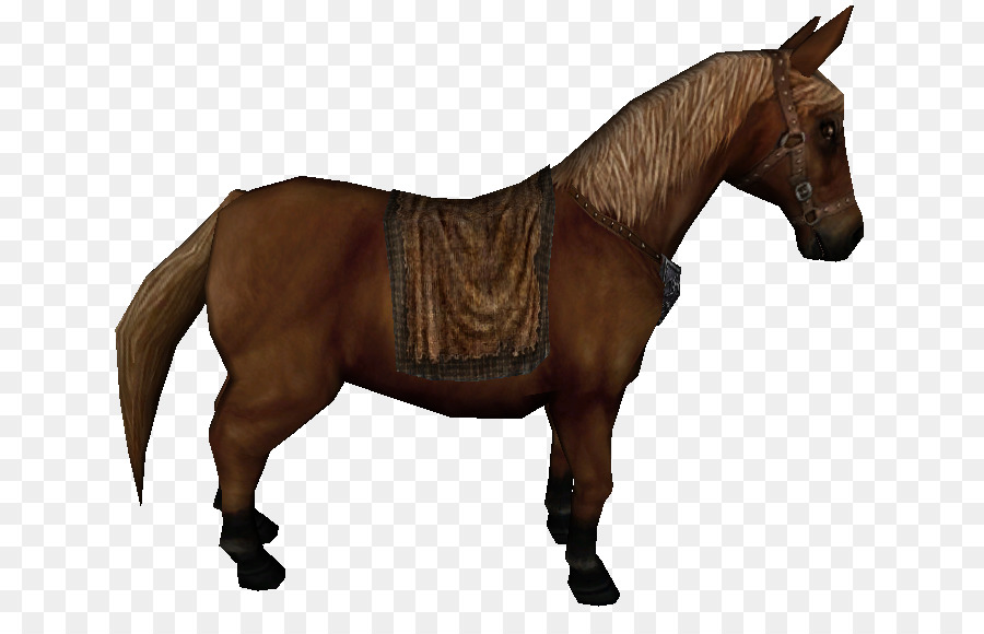 Caballo，Equino PNG