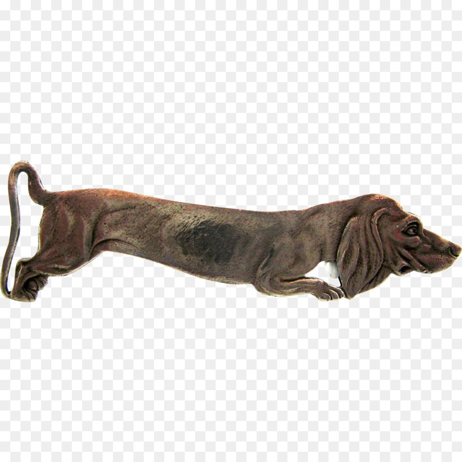 Raza De Perro，Perro PNG