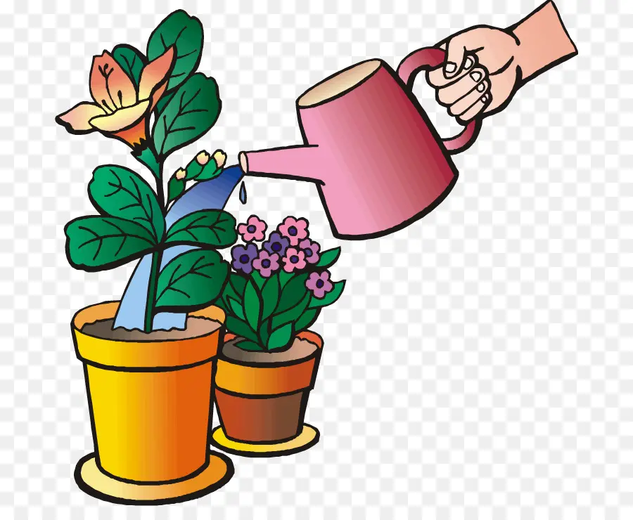 Regar Las Plantas，Regadera PNG