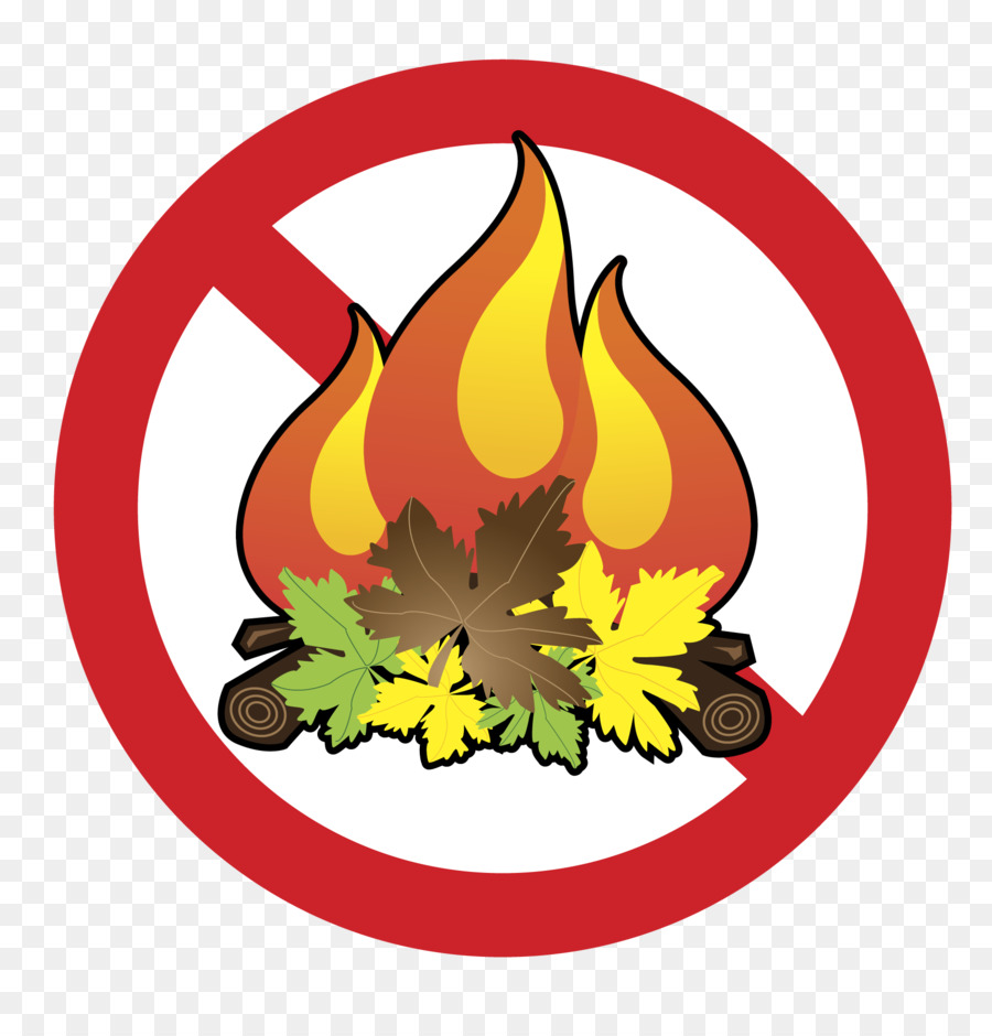 Iconos De Equipo，Fuego PNG