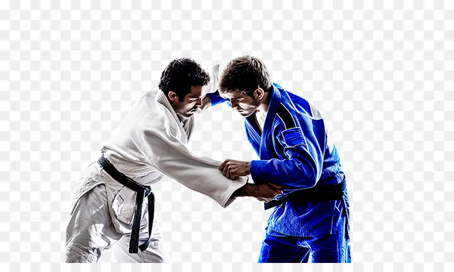 Luchadores De Judo，Artes Marciales PNG