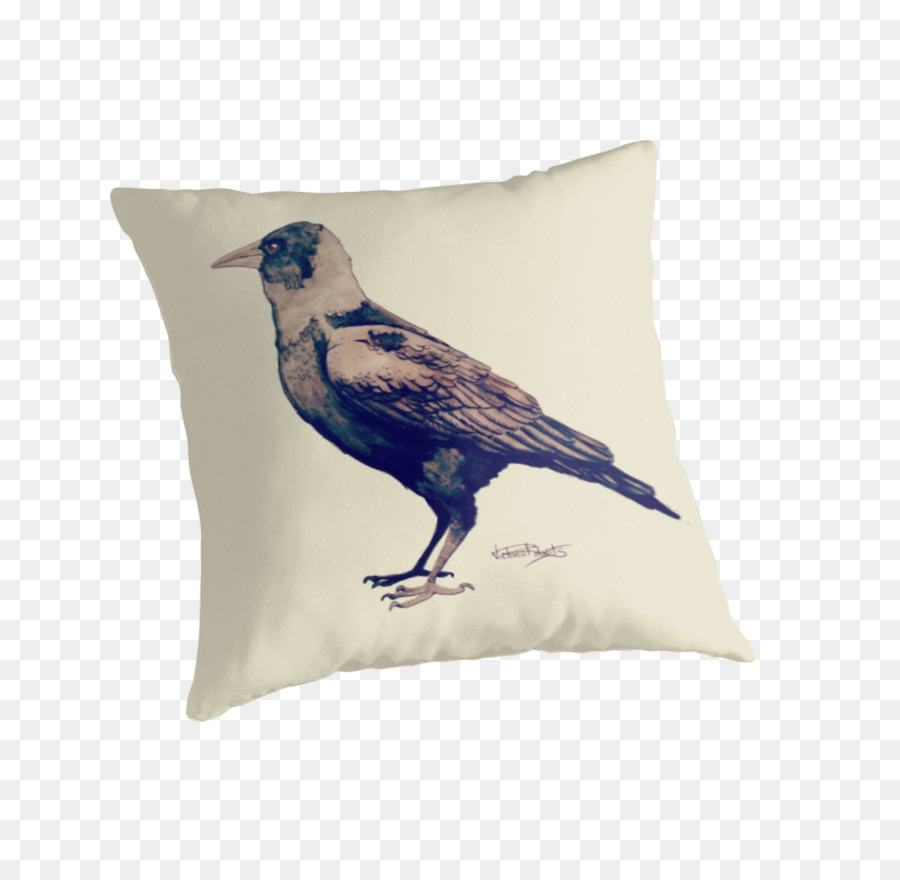 Almohadas，Almohada PNG