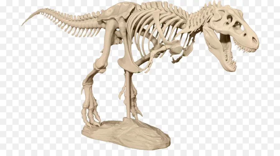 Tyrannosaurus，La Impresión En 3d PNG