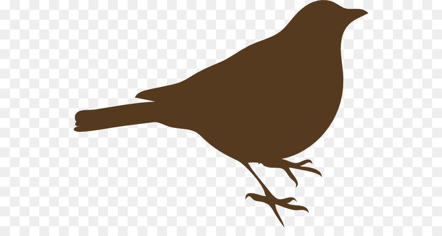 Pájaro，Agapornis PNG