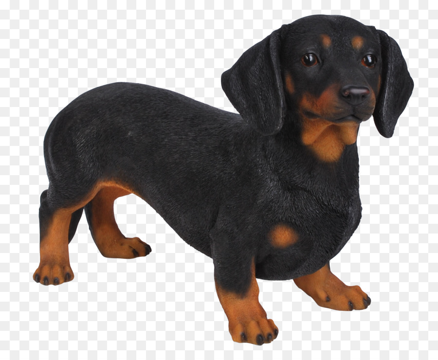 Cachorro，Perro PNG