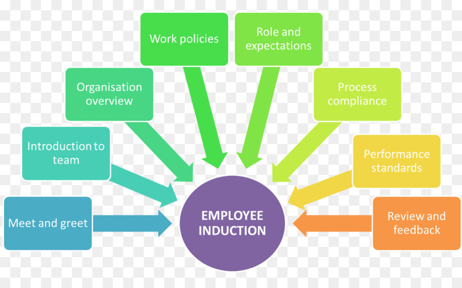 Inducción De Empleados，Políticas De Trabajo PNG