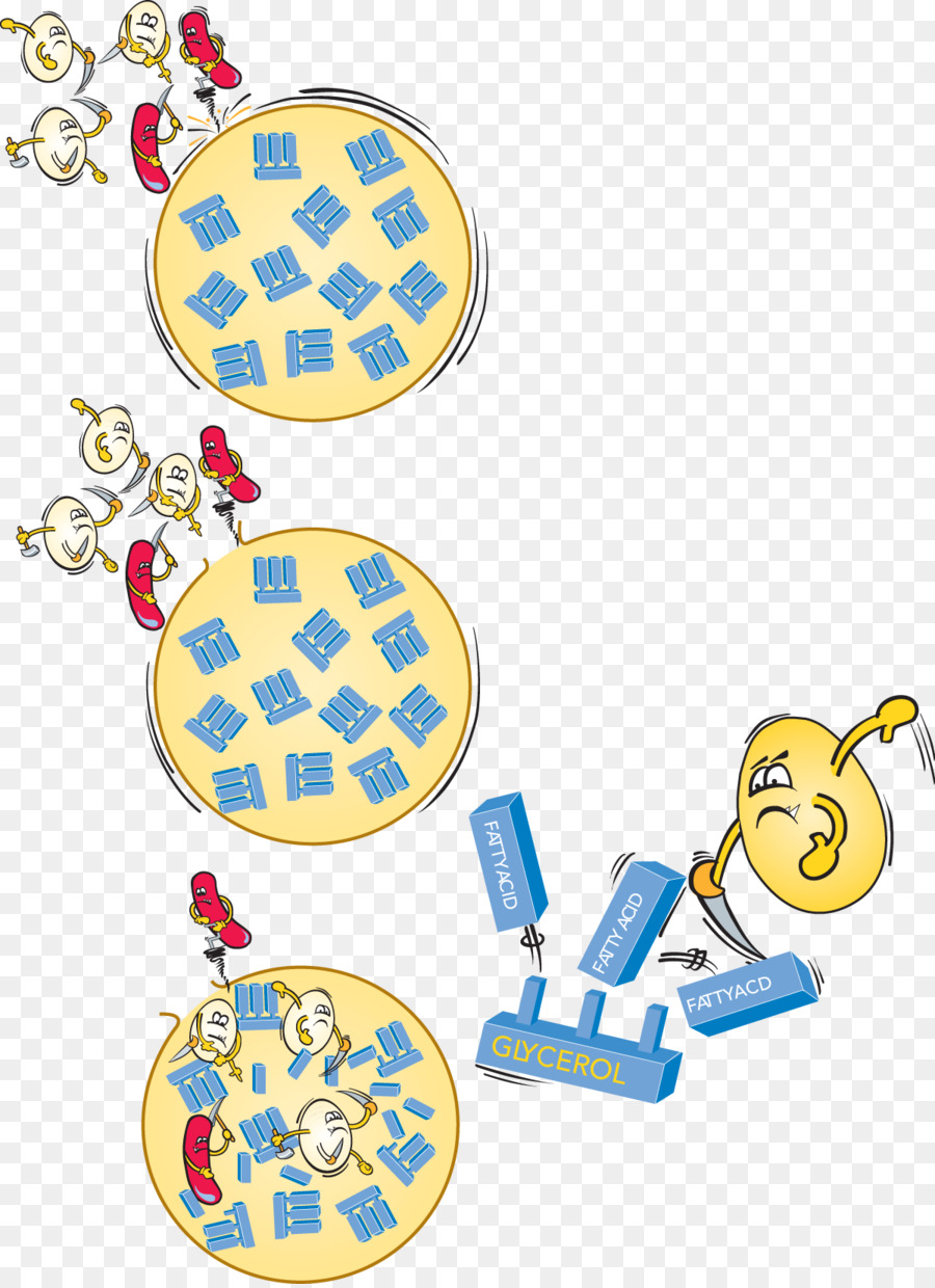 Bacterias，Dibujos Animados PNG