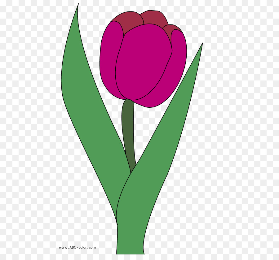 Flor，Rosa PNG