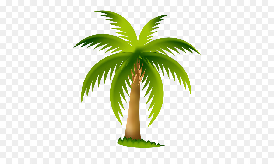 Arecaceae，árbol PNG