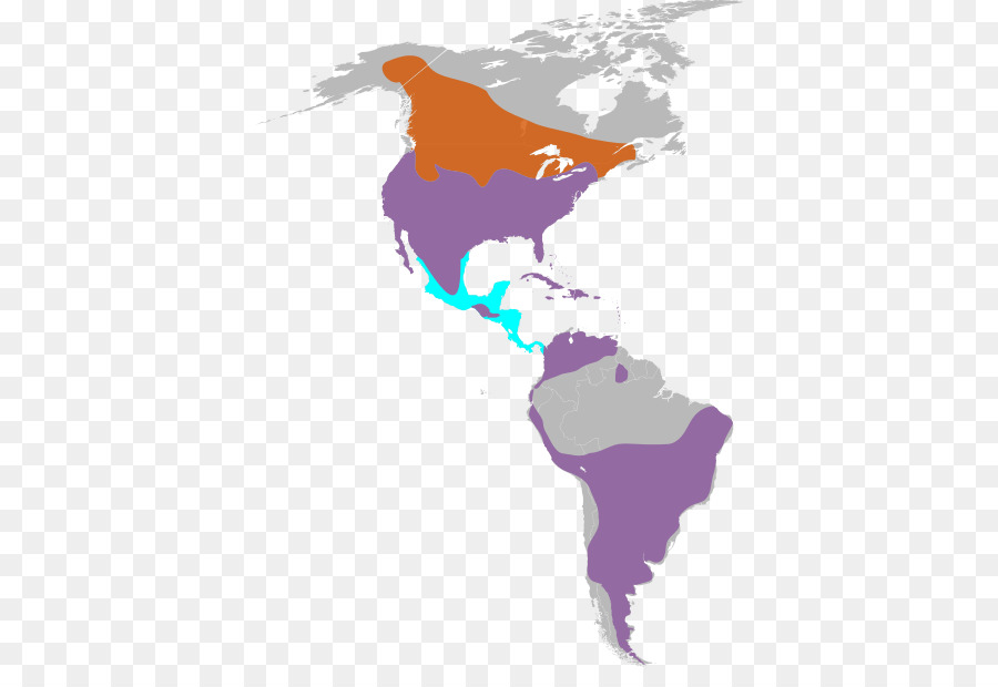 Estados Unidos，América Del Sur PNG