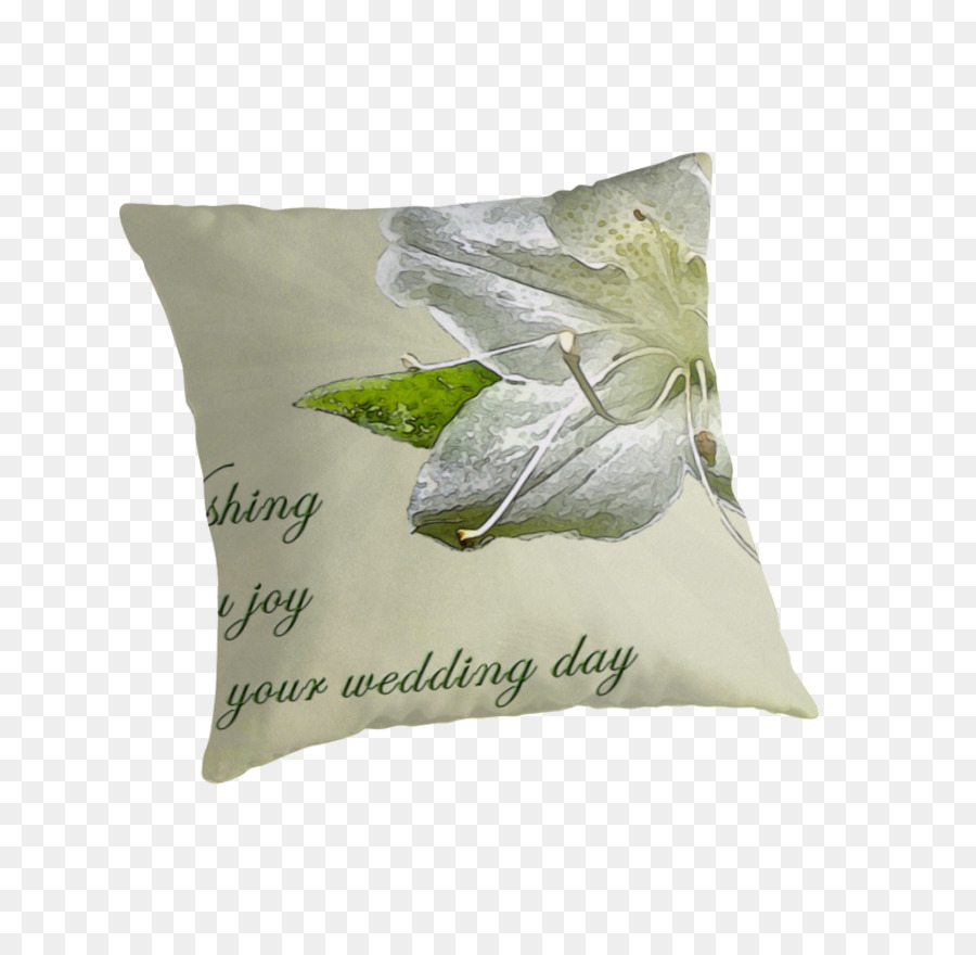 Almohadas，Almohada PNG