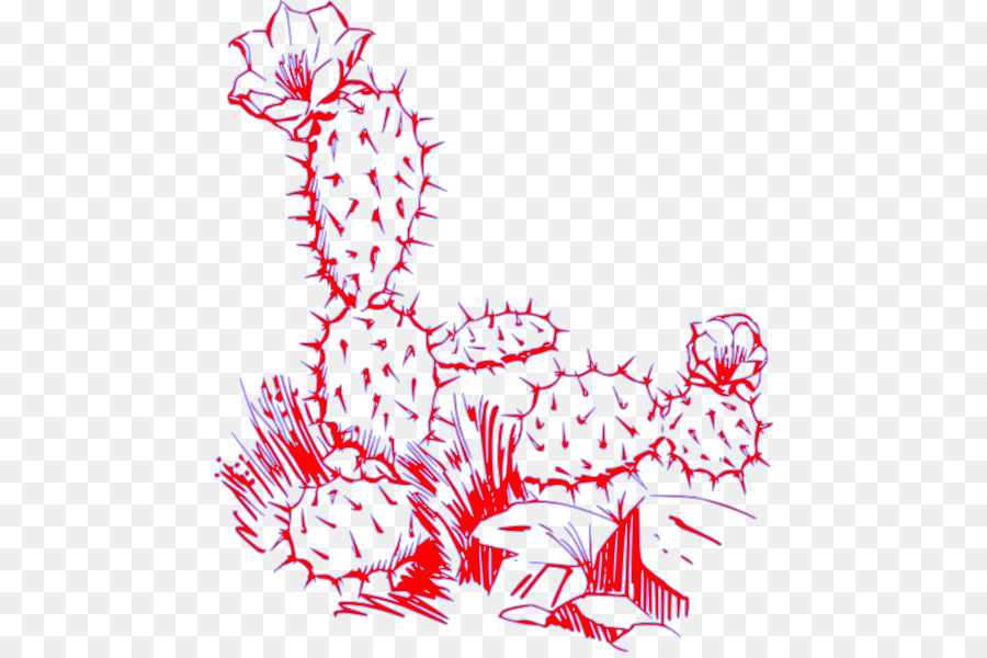 Cactaceae，Planta PNG