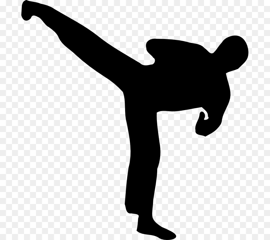 Kickboxing，Silueta PNG