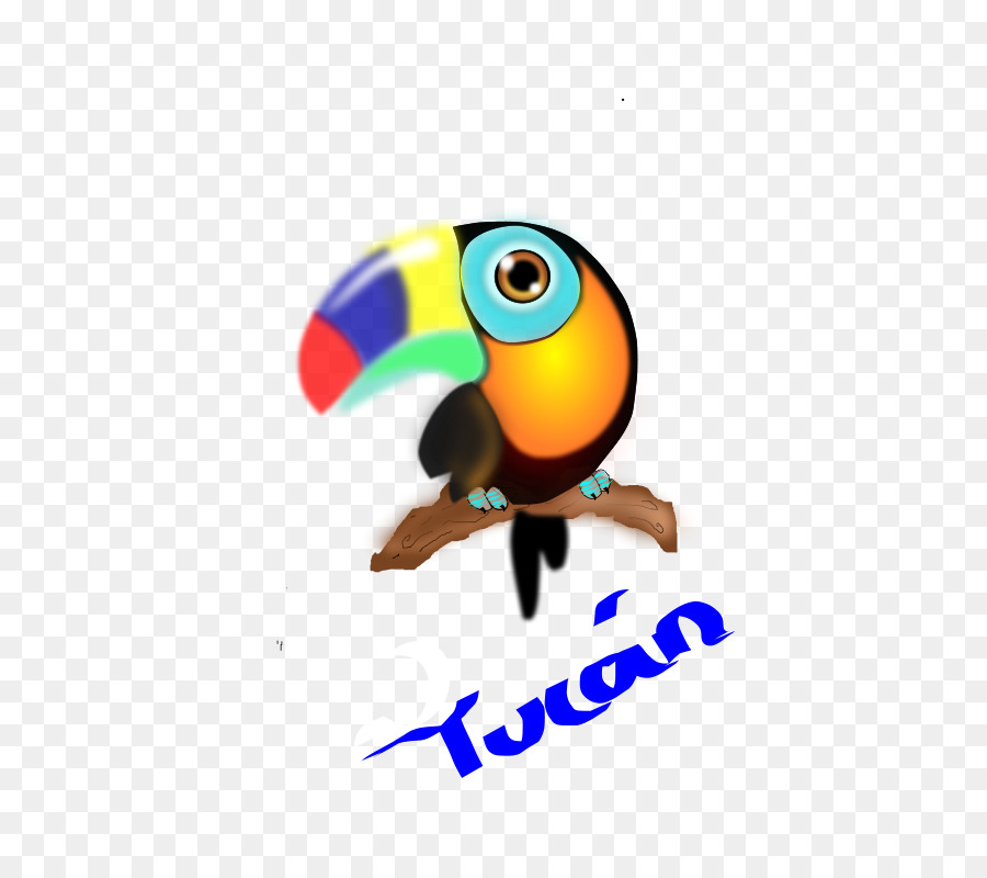 Tucán，Pico PNG