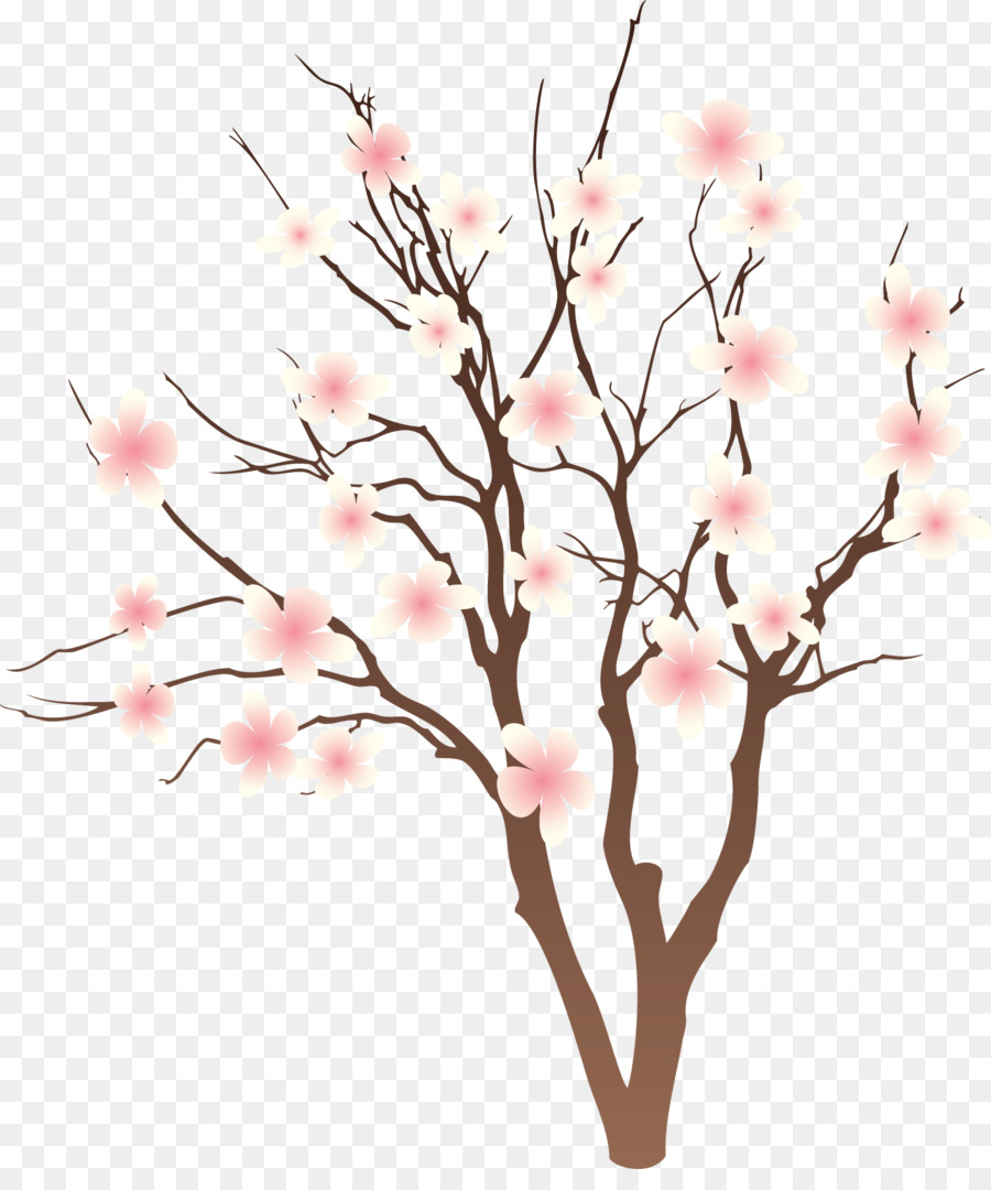 Árbol De Cerezo En Flor，Flores PNG