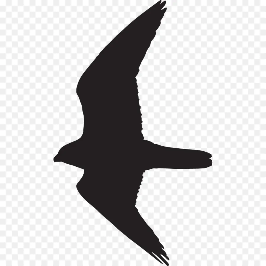 Silueta De Pájaro，Vuelo PNG