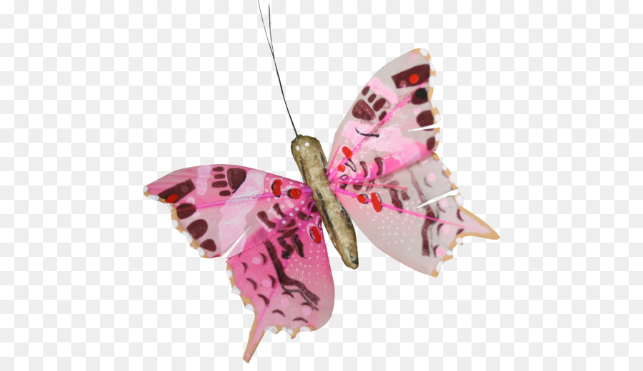 Mariposa，Papillon Perro PNG