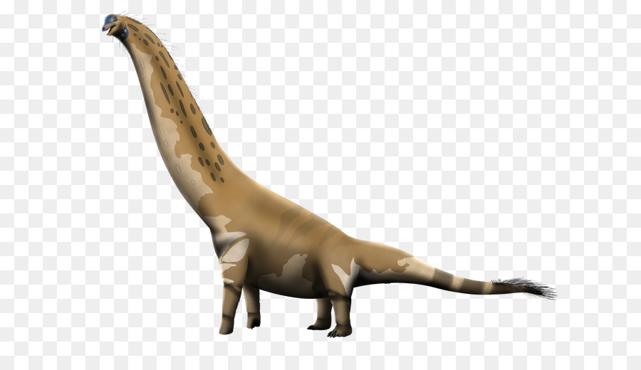 Brachiosaurus，Dinosaurio PNG