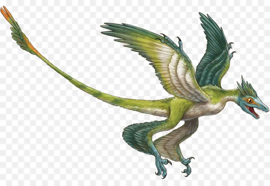 Microraptor，Velociraptor PNG