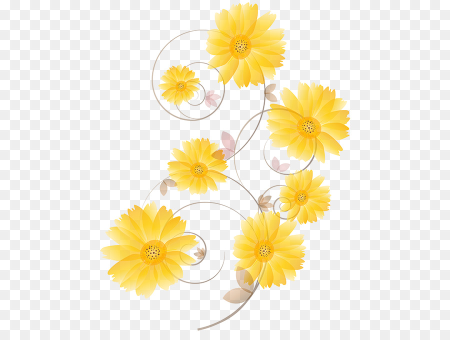 Flores，Margaritas PNG