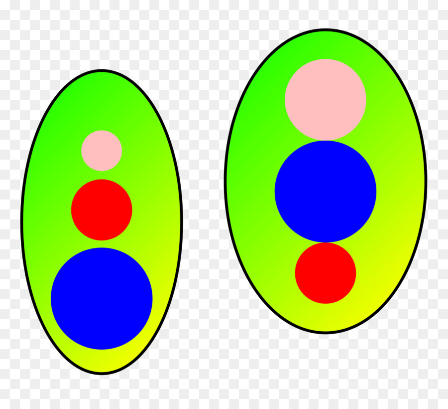 Colocar，Matemáticas PNG